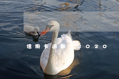 信用卡逾期 2020 信用卡逾期 2020